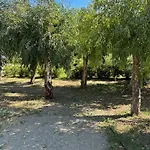 Memi