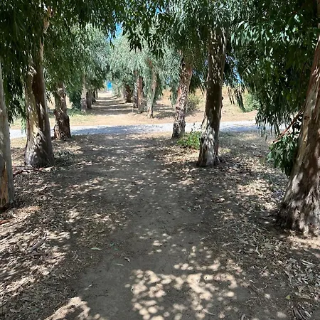 Memi בית נופש *